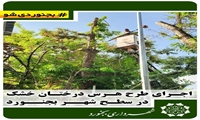 اجرای طرح هرس درختان خشک در سطح شهر بجنورد